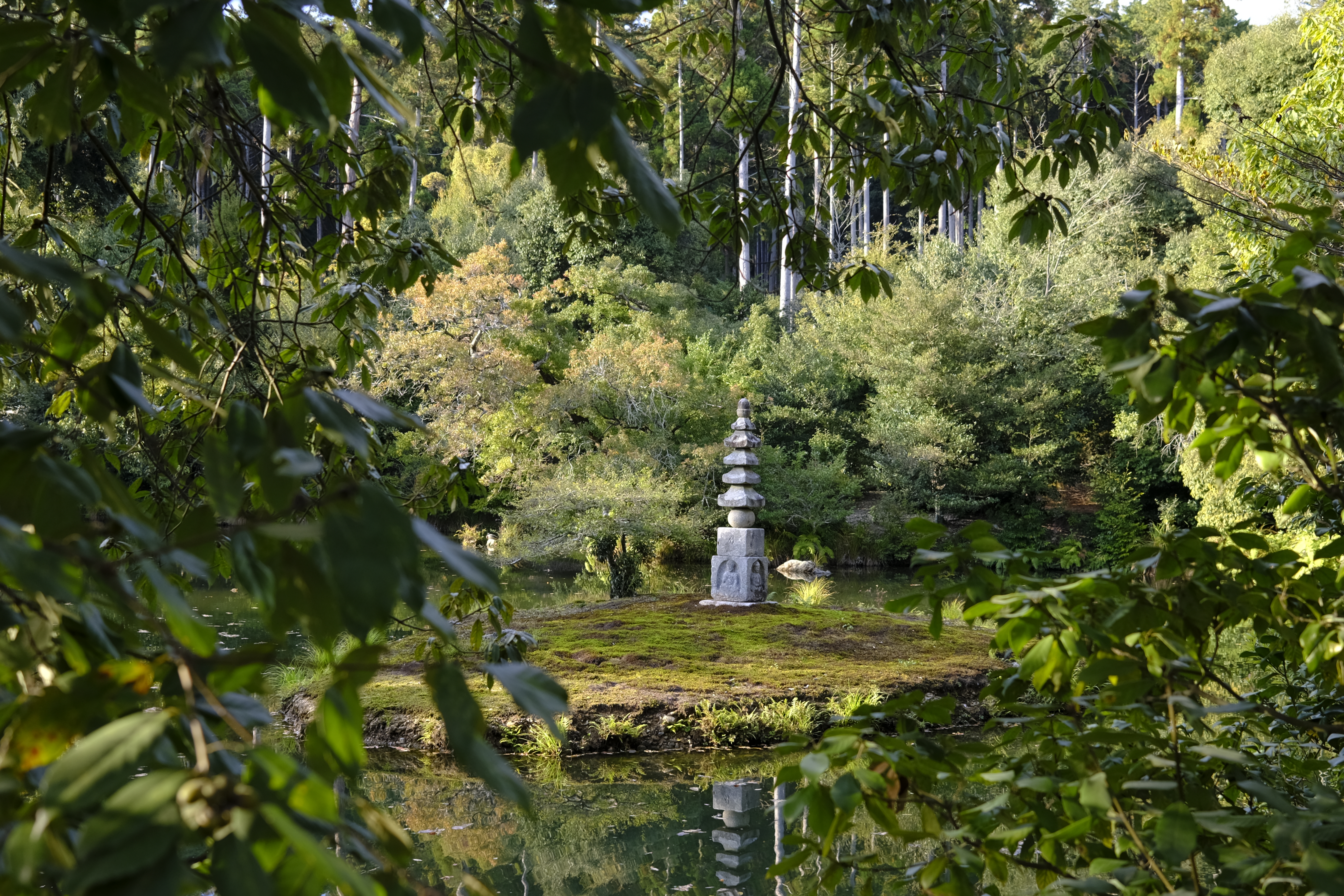 I don't think my 1 yen coins can make it that far...