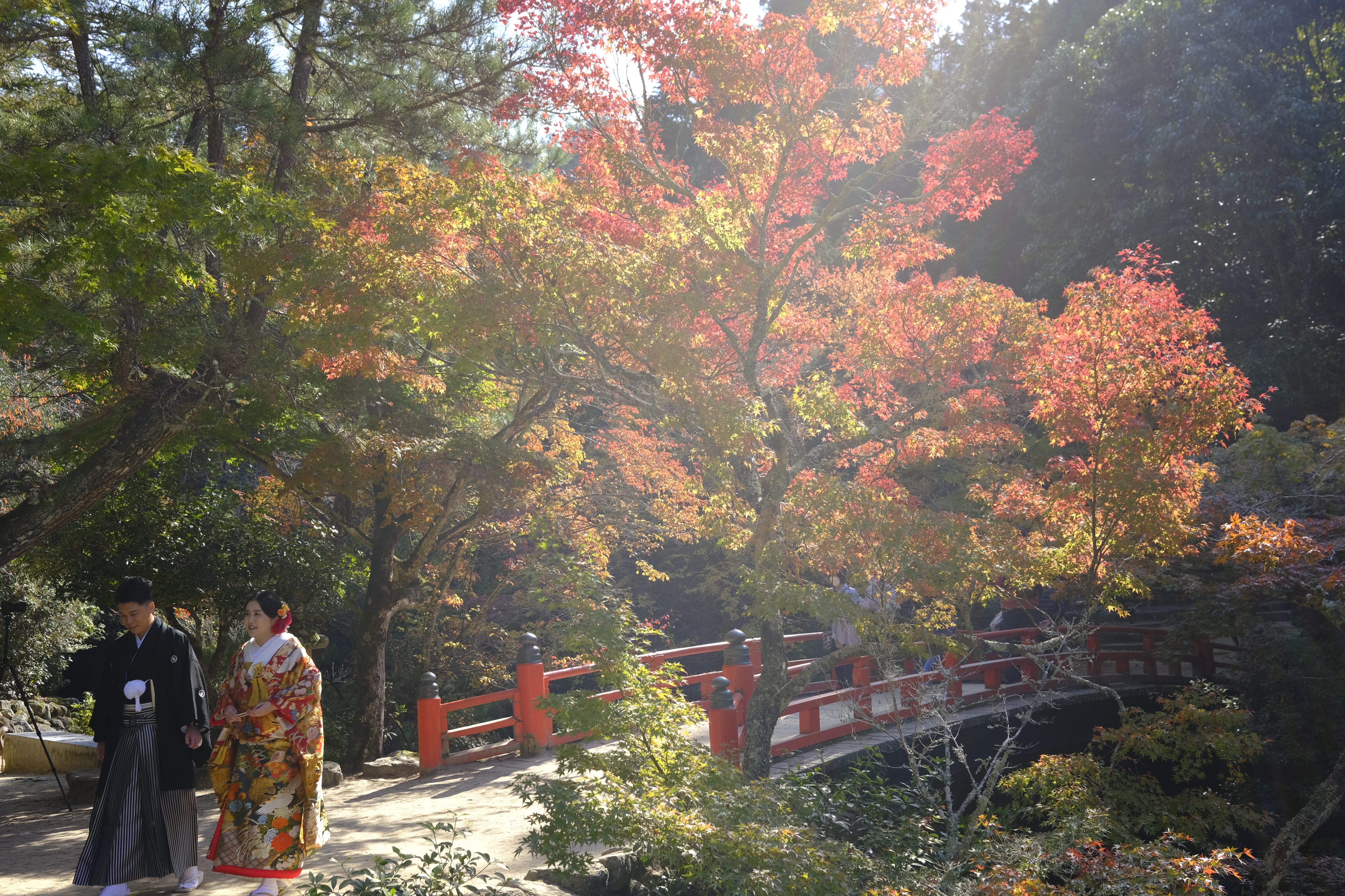 Accidentally caught this wedding photo lol